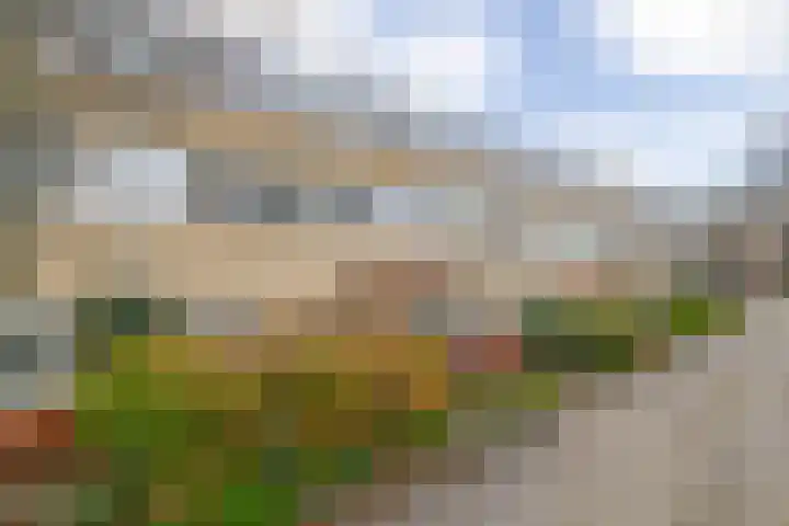 Aletta Jacobsstraat 24 Lisse thumbnail 32