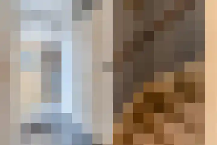 Aletta Jacobsstraat 29 Assendelft thumbnail 7