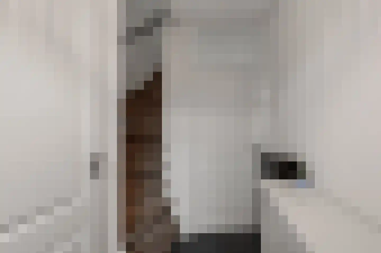 Aletta Jacobsstraat 98 Assendelft thumbnail 16