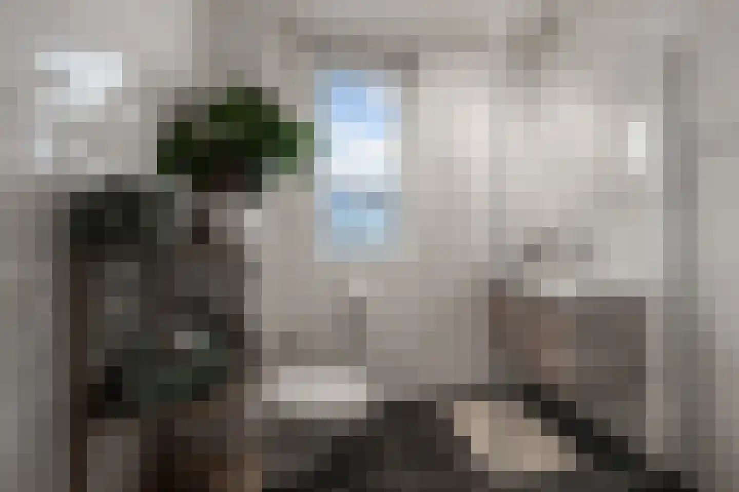 Aletta Jacobsstraat 98 Assendelft thumbnail 30