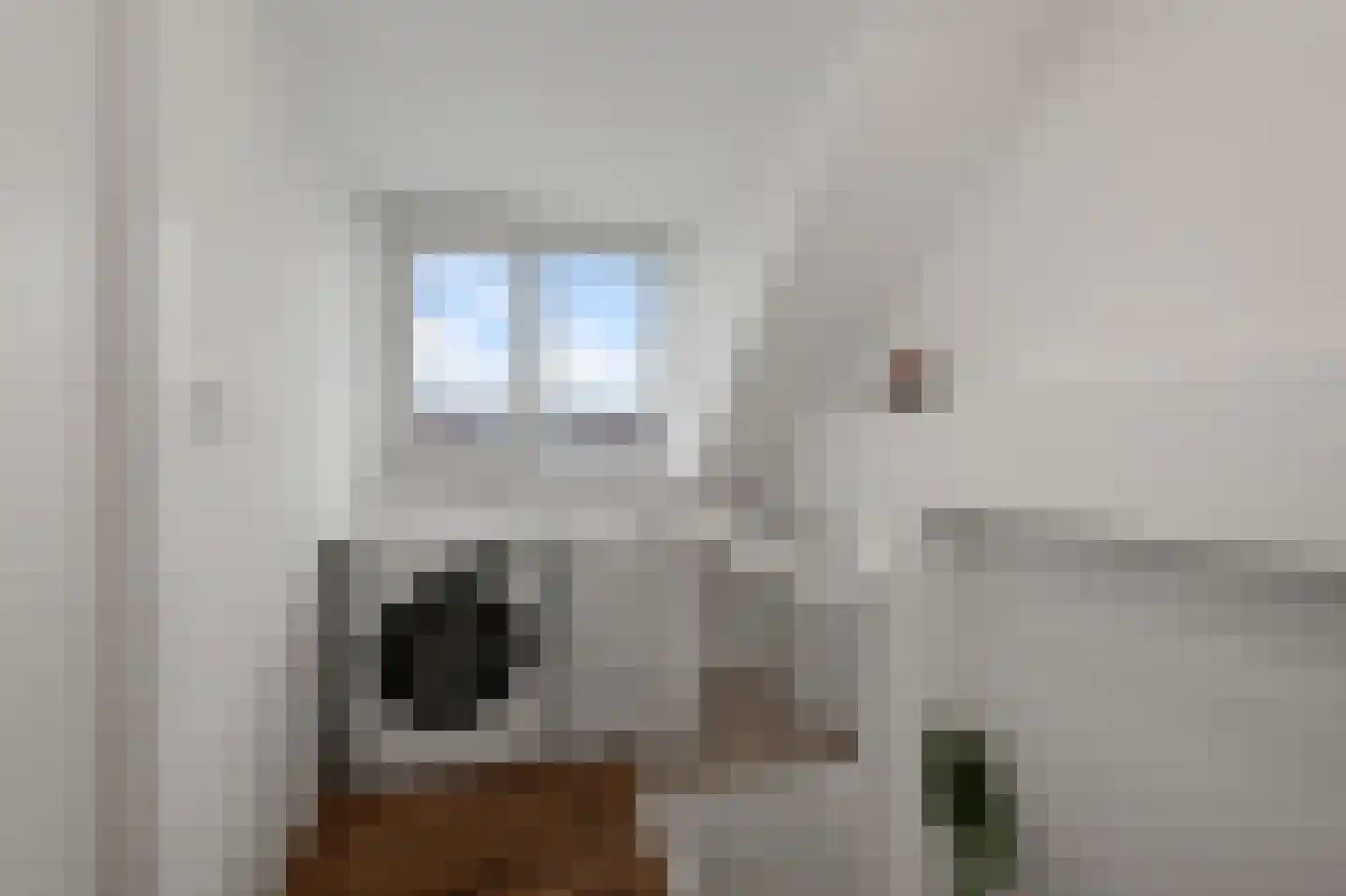 Aletta Jacobsstraat 98 Assendelft thumbnail 37