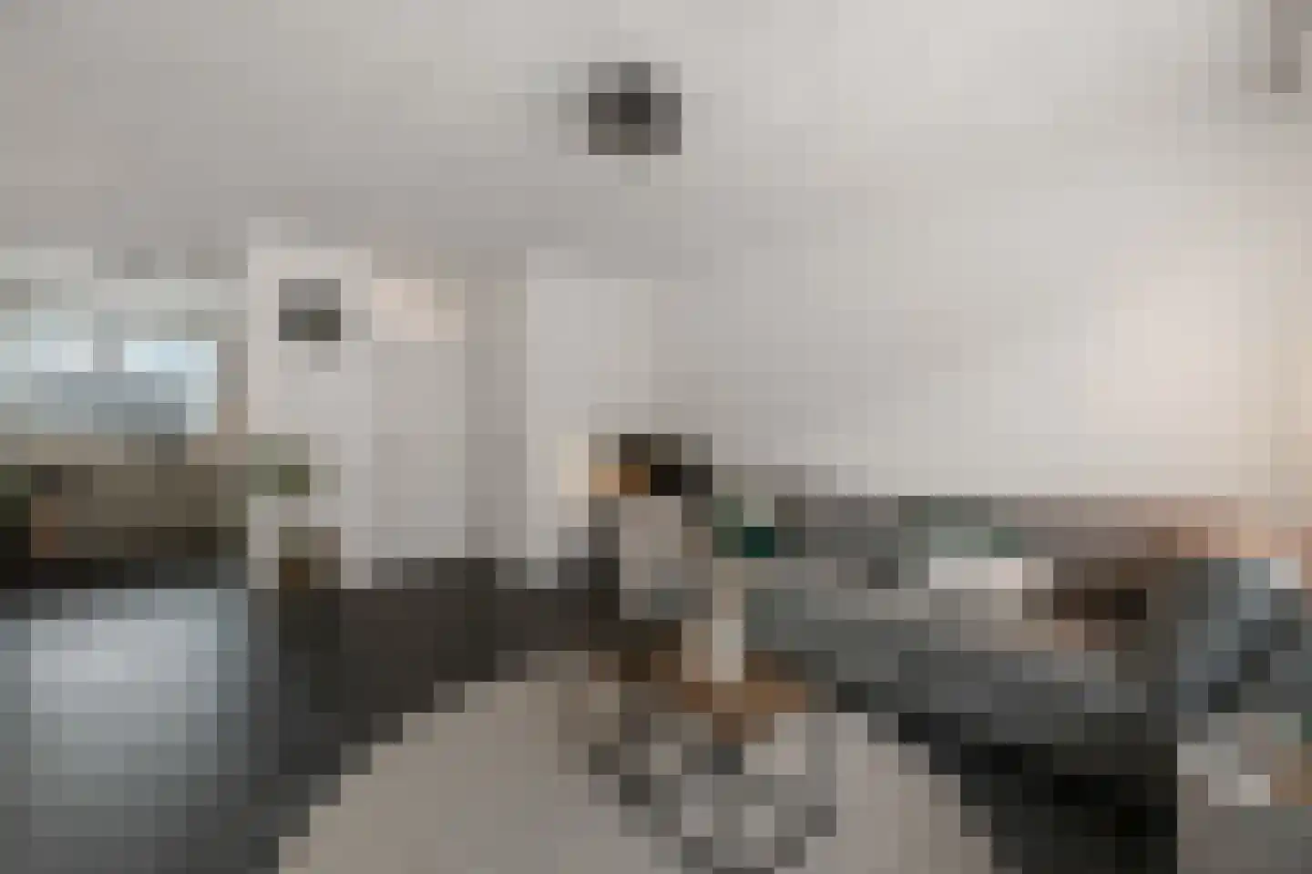 Aletta Jacobsstraat 98 Assendelft thumbnail 4