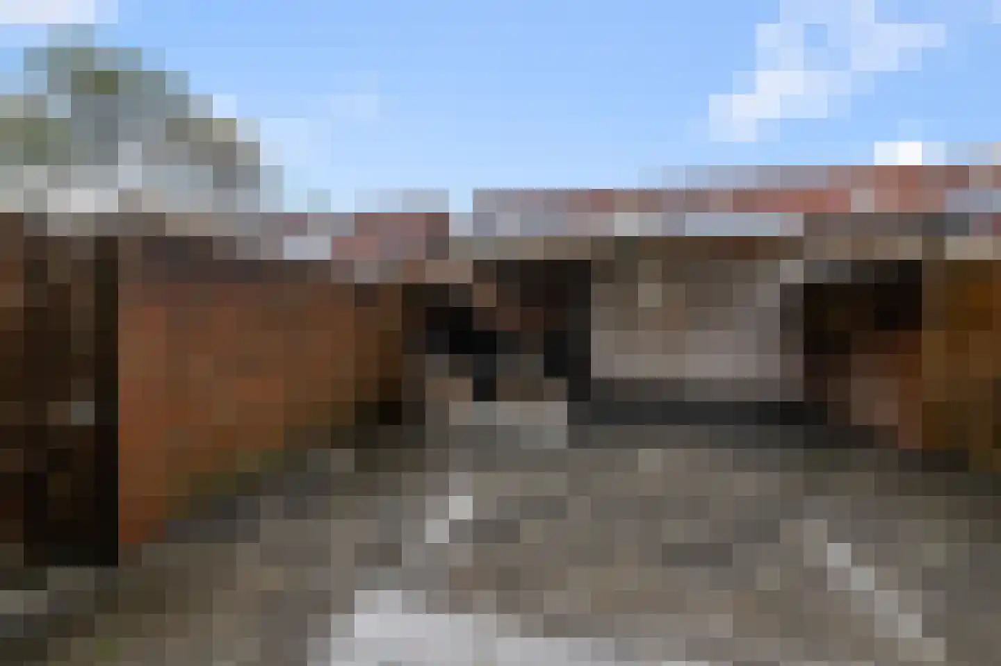 Aletta Jacobsstraat 98 Assendelft thumbnail 41