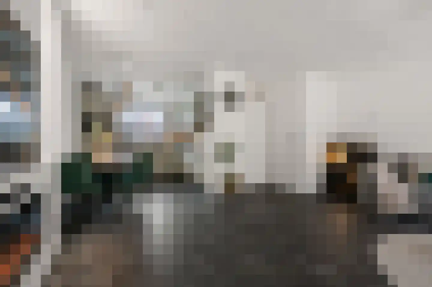 Aletta Jacobsstraat 98 Assendelft thumbnail 8