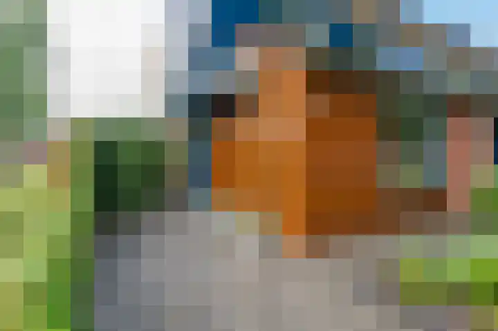 Alexander Dubcekweg 141 Assen thumbnail 10