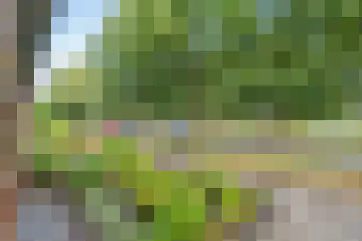 Alexander Dubcekweg 141 Assen thumbnail 12