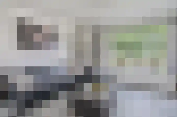 Alexander Dubcekweg 141 Assen thumbnail 17