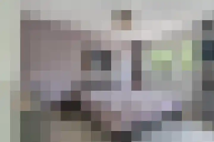 Alexander Dubcekweg 141 Assen thumbnail 32