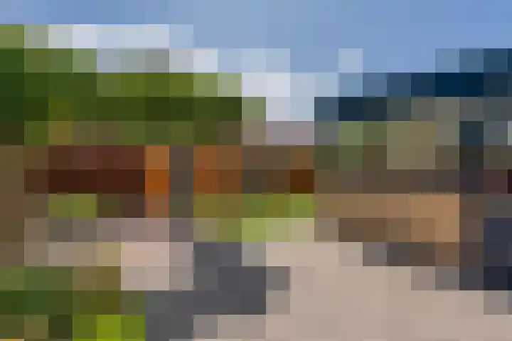 Alexander Dubcekweg 141 Assen thumbnail 42