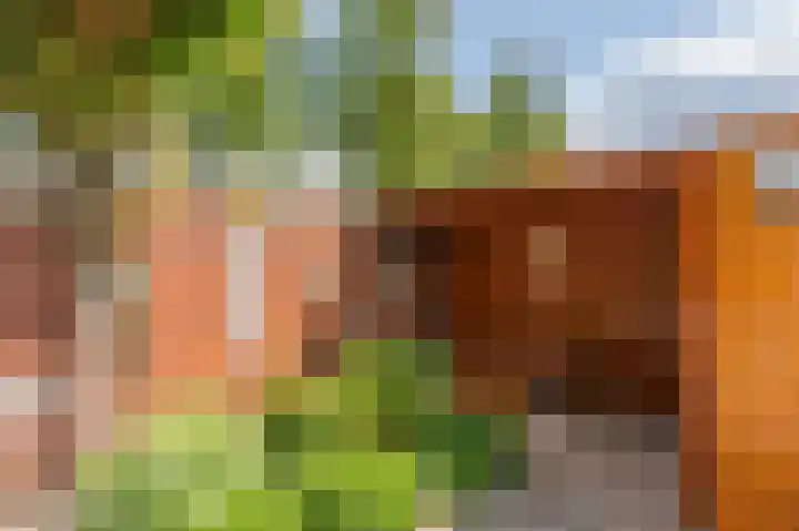Alexander Dubcekweg 141 Assen thumbnail 47