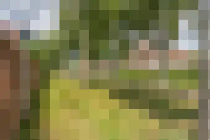 Alexander Dubcekweg 141 Assen thumbnail 57