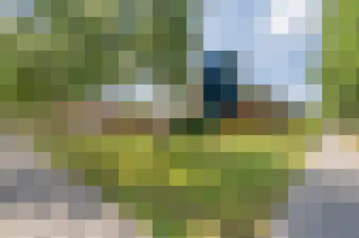 Alexander Dubcekweg 141 Assen thumbnail 6