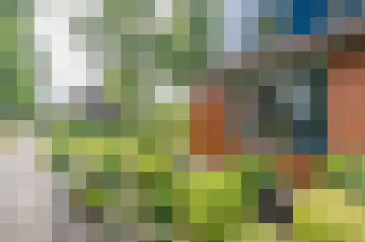 Alexander Dubcekweg 141 Assen thumbnail 8
