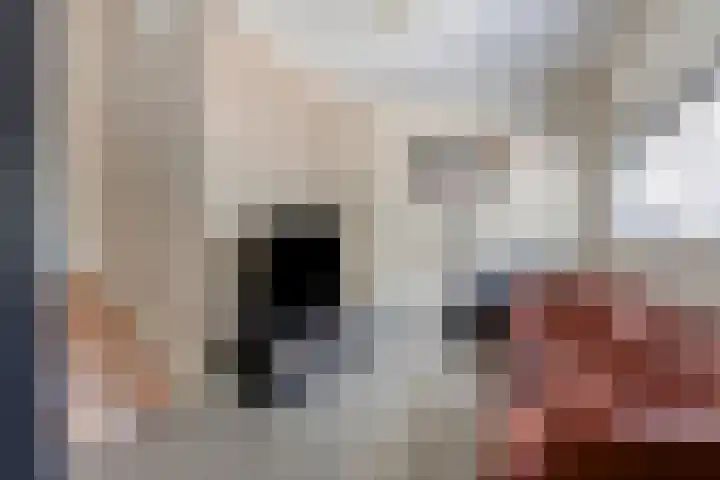 Alexander Gogelstraat 8 Leiden thumbnail 8