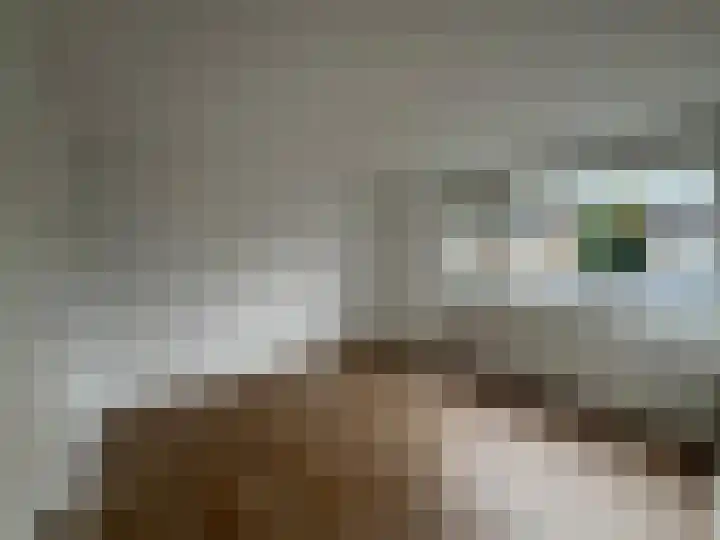 Alexanderhof 21 Etten thumbnail 14