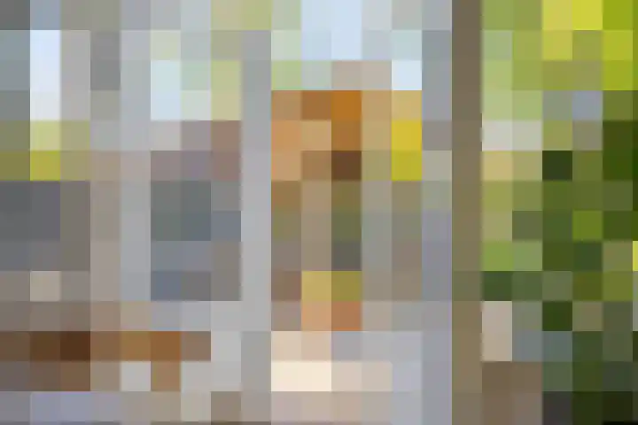 Alexanderlaan 17 Hilversum thumbnail 15