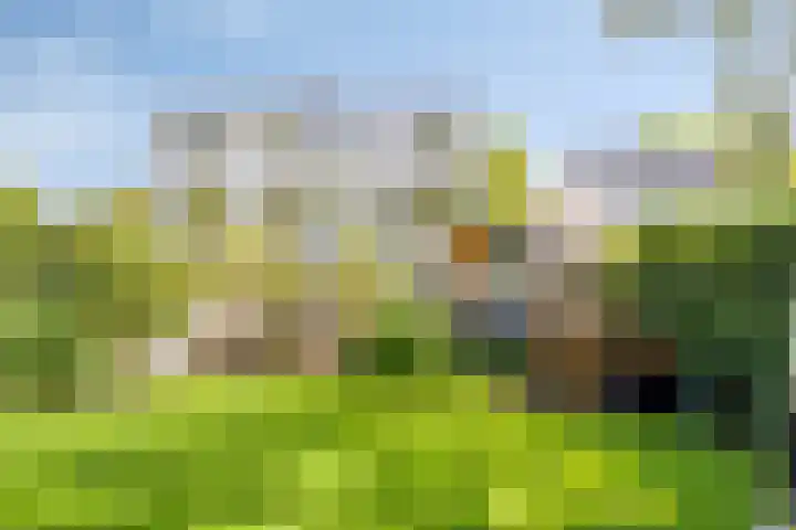 Alexanderlaan 17 Hilversum thumbnail 28