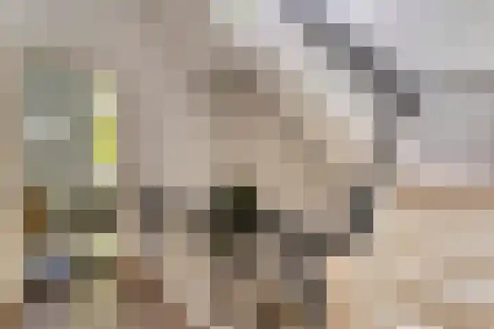 Alexanderlaan 17 Hilversum thumbnail 29