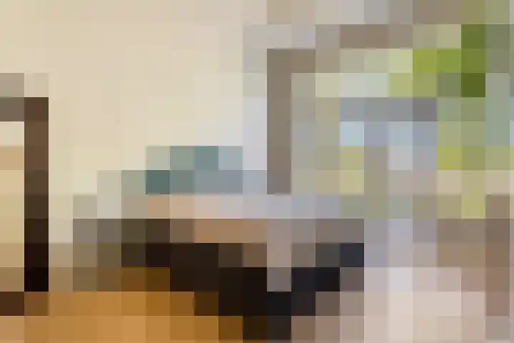 Alexanderlaan 17 Hilversum thumbnail 31