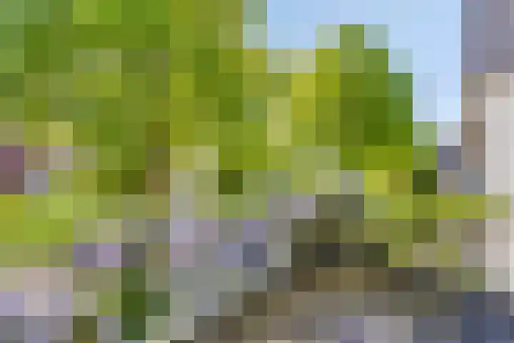 Alexanderlaan 17 Hilversum thumbnail 38