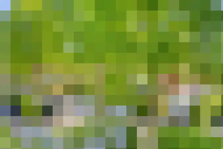 Alexanderlaan 17 Hilversum thumbnail 39