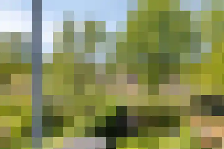 Alexanderlaan 17 Hilversum thumbnail 46