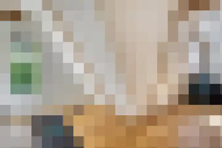 Alexanderlaan 17 Hilversum thumbnail 49
