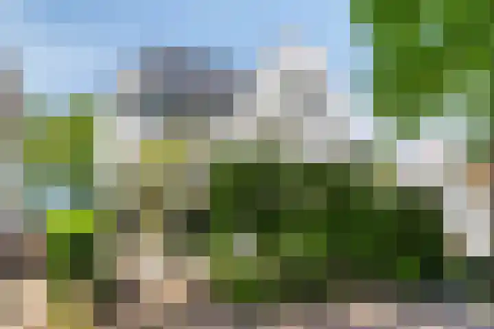 Alexanderlaan 17 Hilversum thumbnail 54
