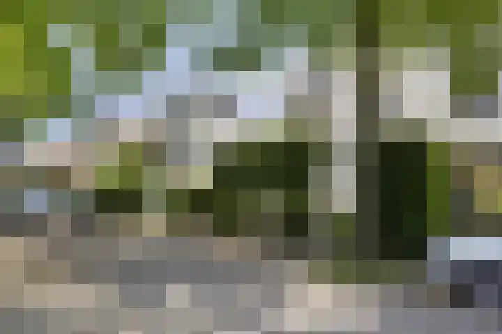 Alexanderlaan 17 Hilversum thumbnail 55