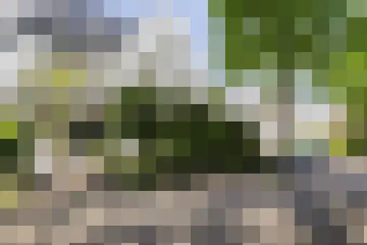Alexanderlaan 17 Hilversum thumbnail 56