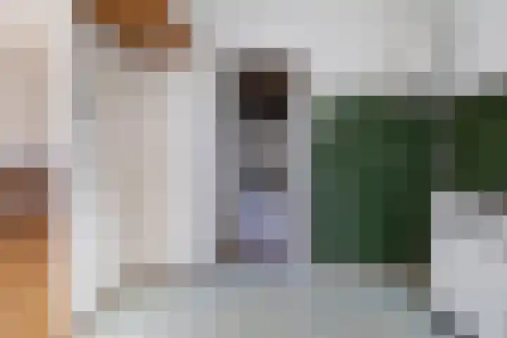 Alexanderlaan 27 Hilversum thumbnail 8