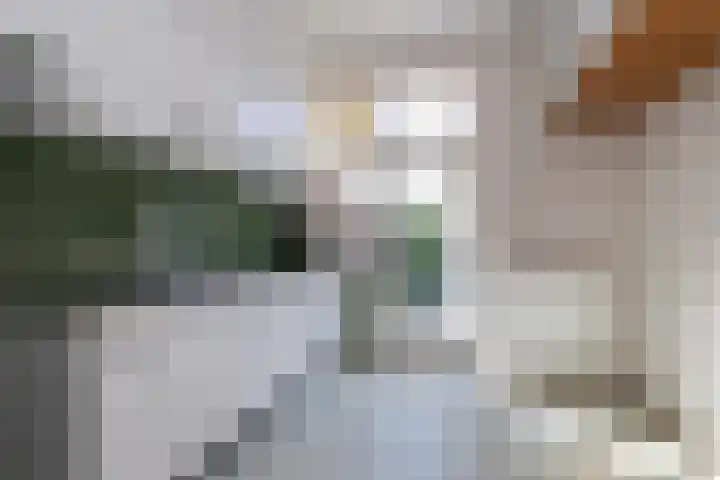 Alexanderlaan 27 Hilversum thumbnail 9