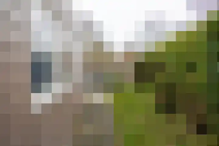 Alexanderpark 100 Ouddorp thumbnail 29
