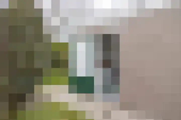 Alexanderpark 100 Ouddorp thumbnail 30
