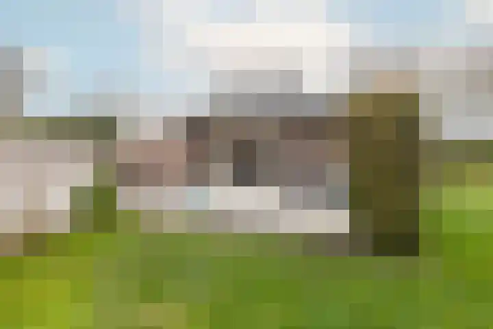 Alexanderpark 100 Ouddorp thumbnail 31