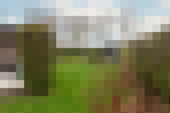Alexanderpark 100 Ouddorp thumbnail 32