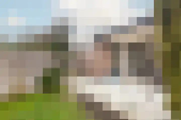 Alexanderpark 100 Ouddorp thumbnail 33