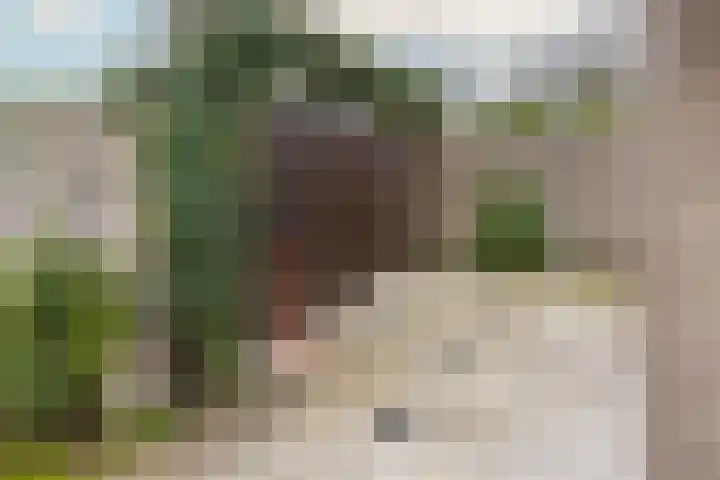 Alexanderpark 100 Ouddorp thumbnail 36