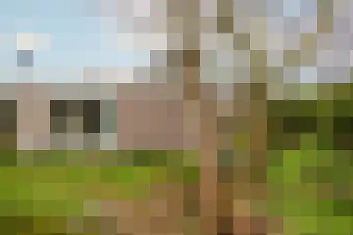 Alexanderpark 100 Ouddorp thumbnail 39