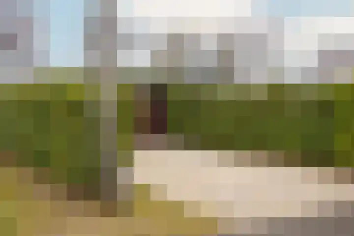 Alexanderpark 100 Ouddorp thumbnail 40