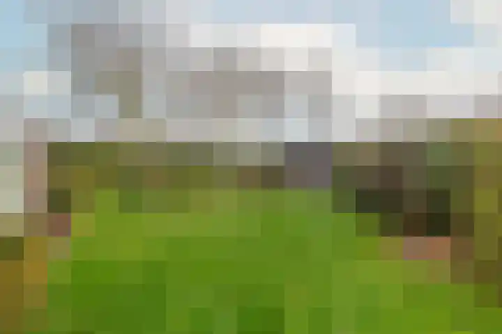 Alexanderpark 100 Ouddorp thumbnail 6