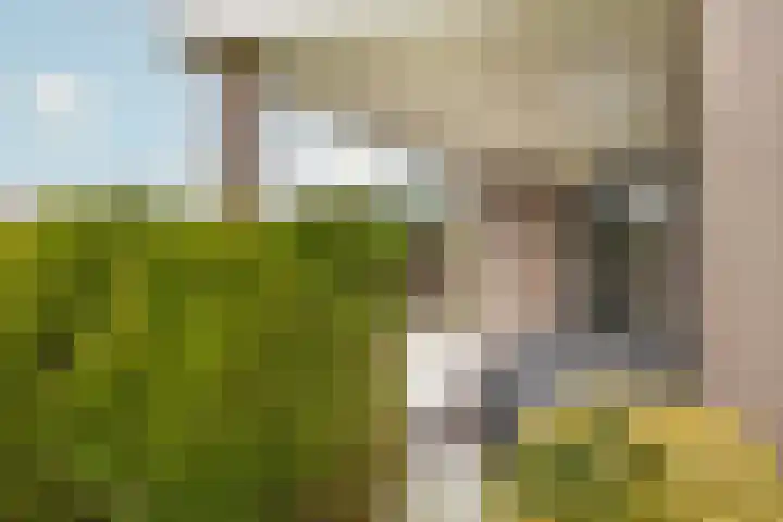 Alexanderpark 100 Ouddorp thumbnail 7