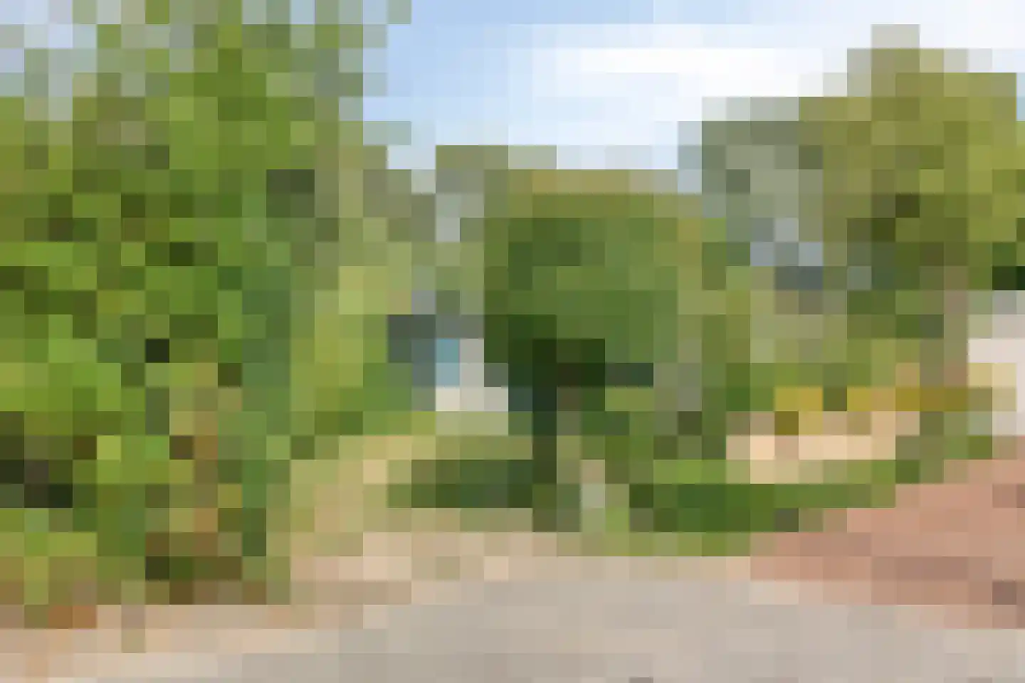 Alexanderpark 110 Ouddorp thumbnail 23