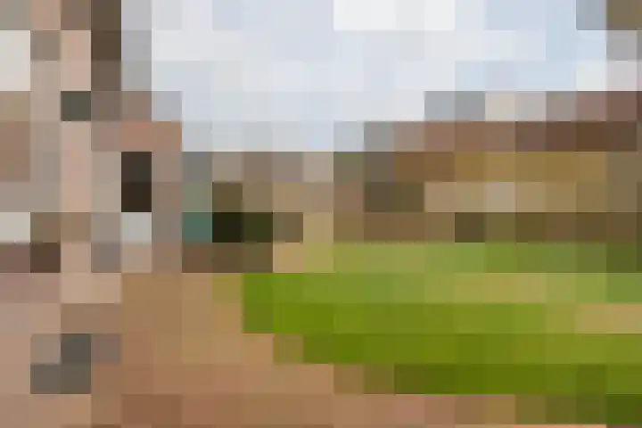 Alexanderpark 110 Ouddorp thumbnail 4