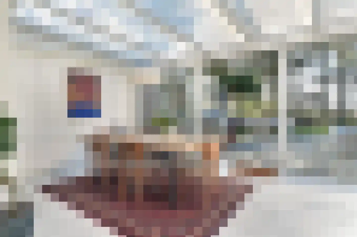 Alexanderpark 54 Ouddorp thumbnail 13