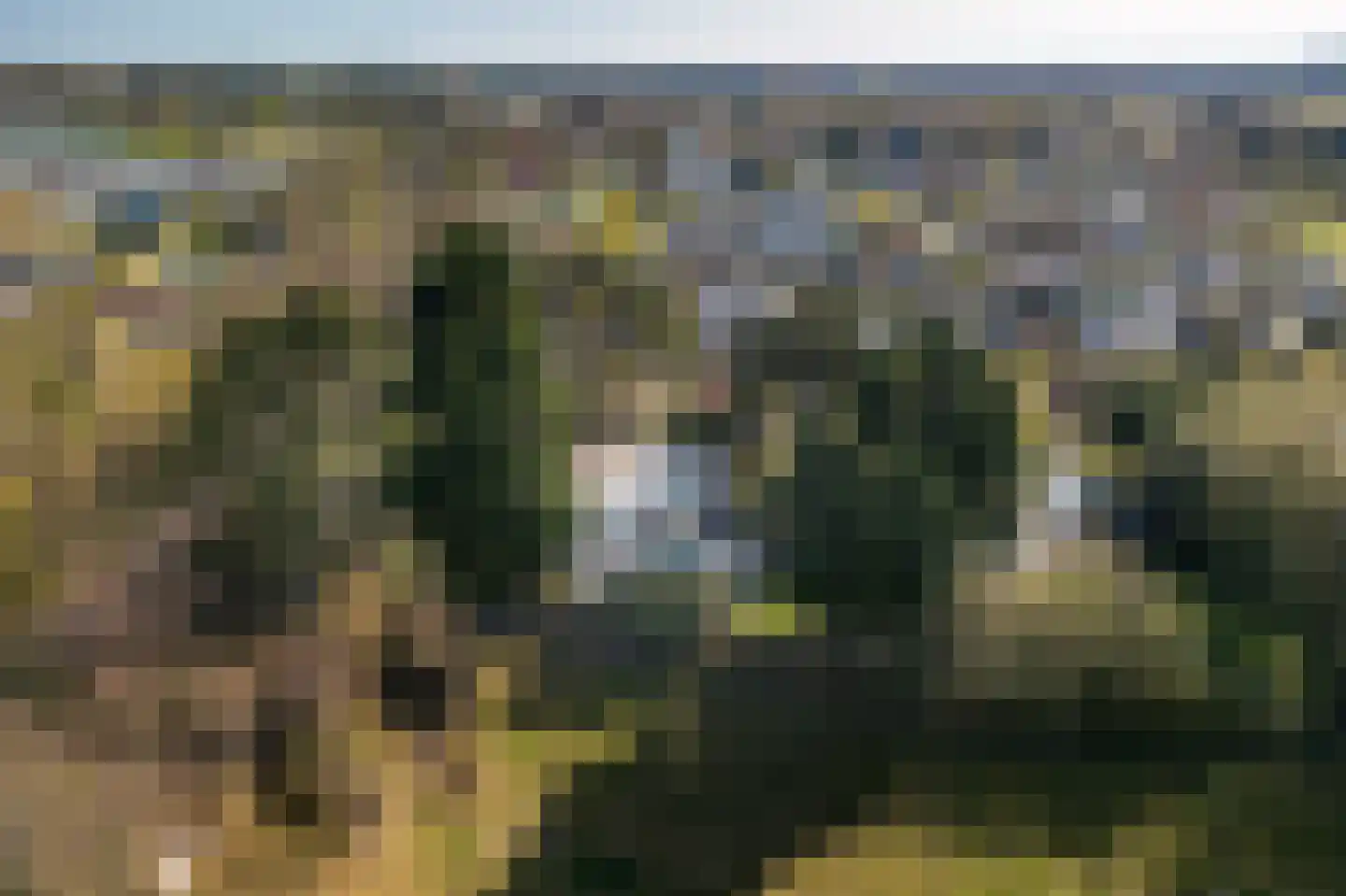 Alexanderpark 54 Ouddorp thumbnail 5