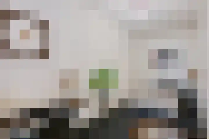 Alexanderstraat 1 d Velp thumbnail 20