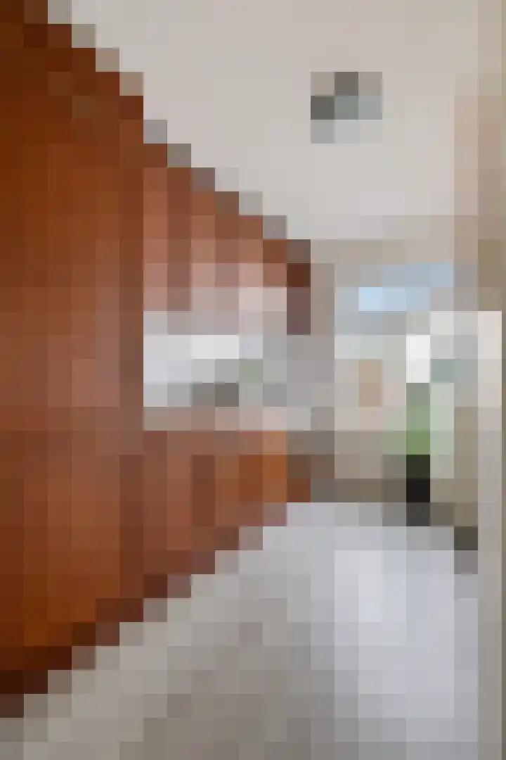Alexanderstraat 1 e Velp thumbnail 13