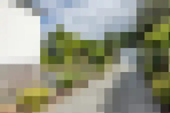 Alexanderstraat 1 Spaubeek thumbnail 31