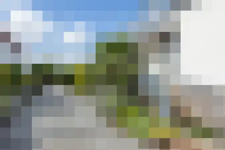 Alexanderstraat 1 Spaubeek thumbnail 32